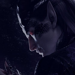 Chapter 2 Key Art: Elder