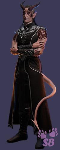 Gilnor from Shadows Dissolving (BG3)